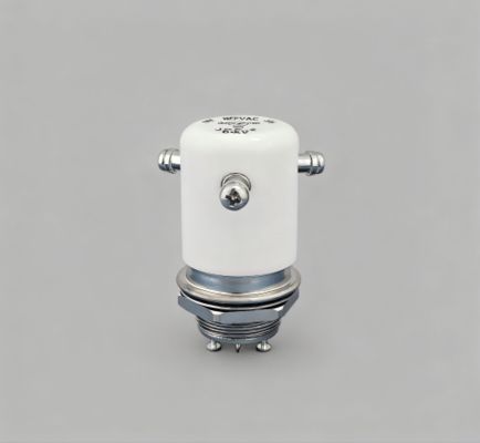comprar JPK-2-WP Relé de alto voltaje DC15KV Carga de corriente de 50A Relé de vacío Voltajón de la bobina del interruptor de voltaje 24 VDC 12VDC online manufacture