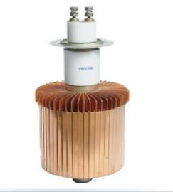 comprar Elemento de alta frecuencia del tubo de electrón, tubo de vacío de alto voltaje 9KW FU7069F online manufacture